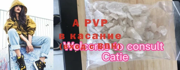 твердый Абаза