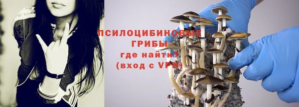 таблы Алзамай