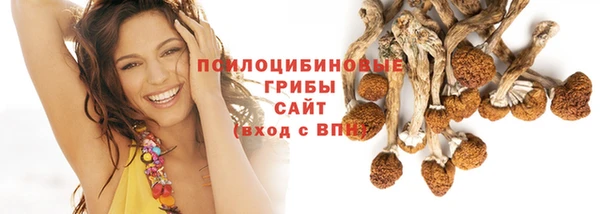 таблы Алзамай