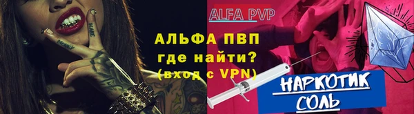 твердый Абаза