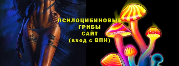 твердый Абаза