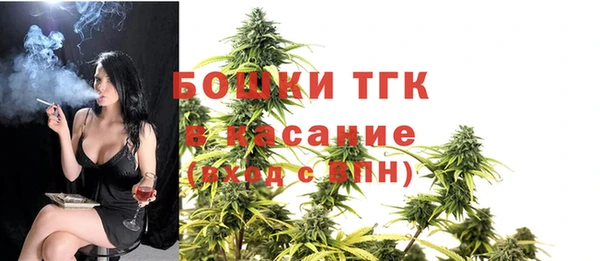 гашик Алексеевка