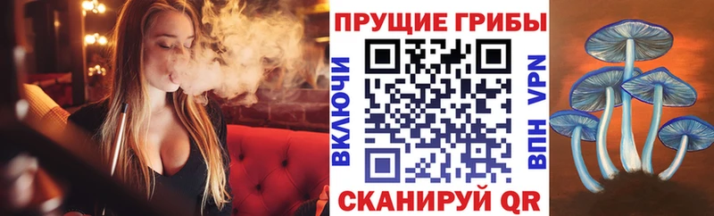 Галлюциногенные грибы MAGIC MUSHROOMS  hydra сайт  Павловский Посад 